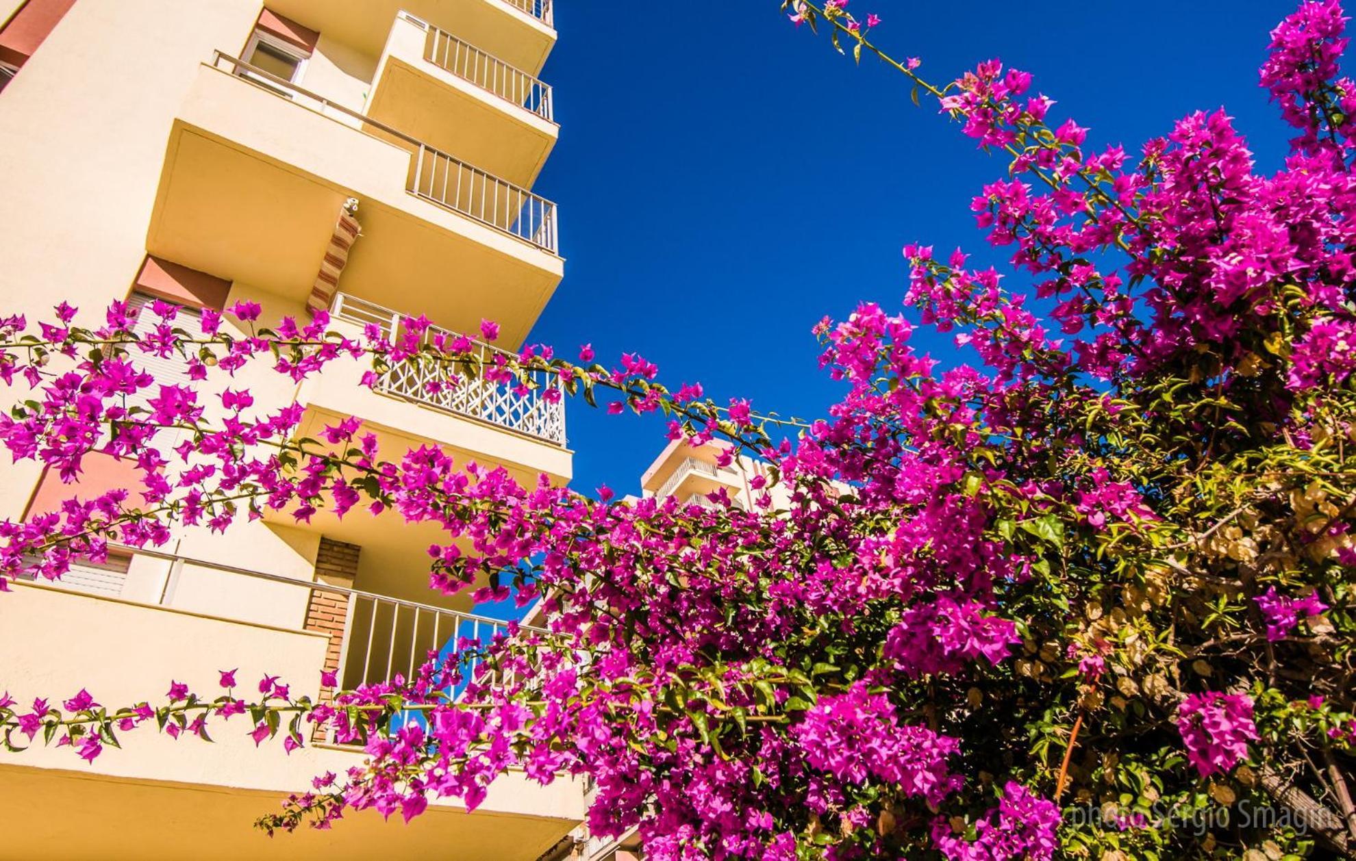 908 Minerva Apartamentos - Vistas Al Mar - Piscina Y Playa Benalmádena Exterior foto